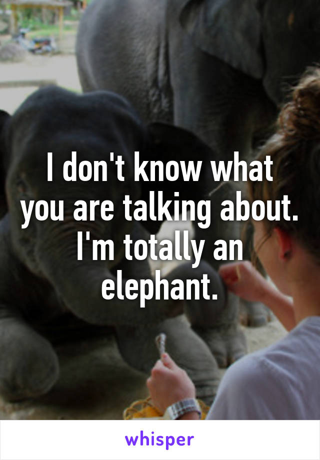 I don't know what you are talking about. I'm totally an elephant.