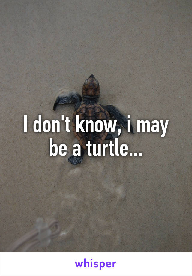 I don't know, i may be a turtle...