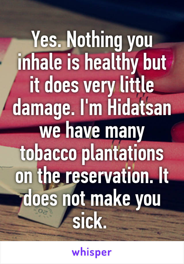 Yes. Nothing you inhale is healthy but it does very little damage. I'm Hidatsan we have many tobacco plantations on the reservation. It does not make you sick. 