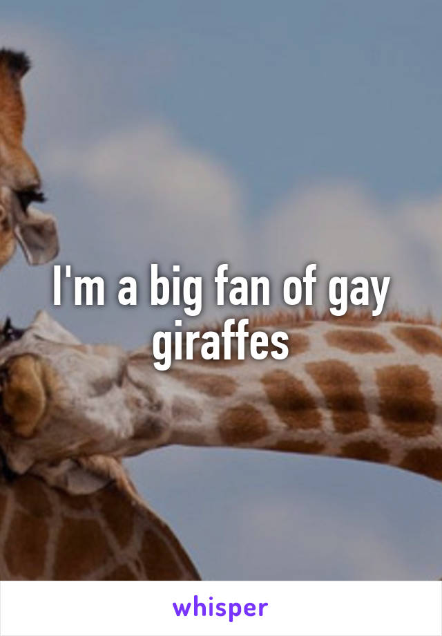 I'm a big fan of gay giraffes