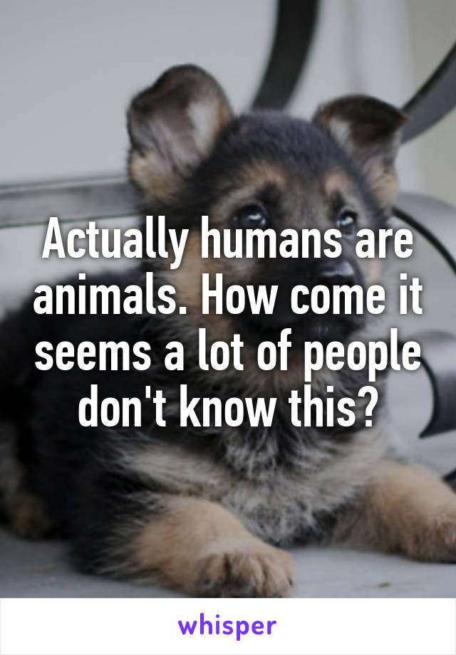 Actually humans are animals. How come it seems a lot of people don't know this?