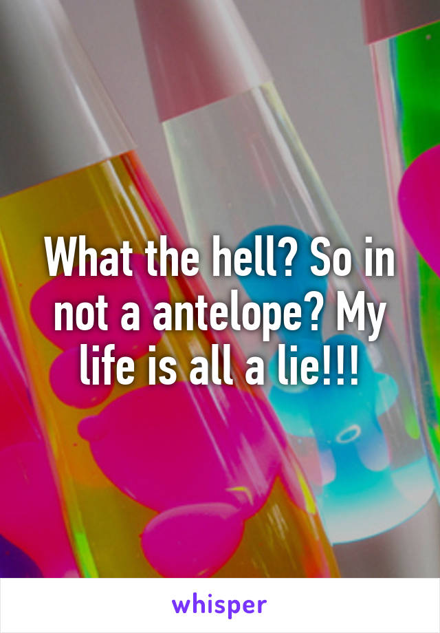 What the hell? So in not a antelope? My life is all a lie!!!