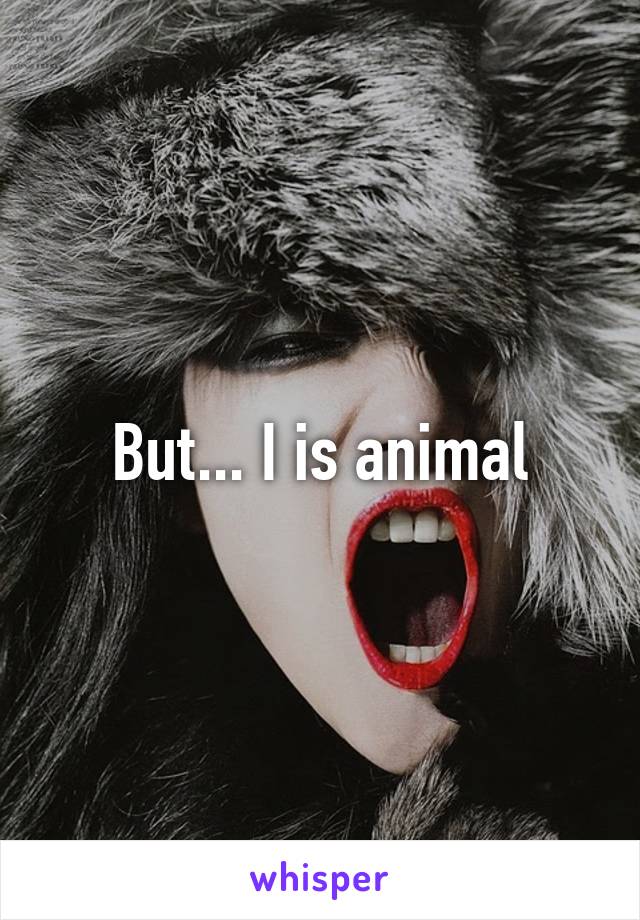 But... I is animal