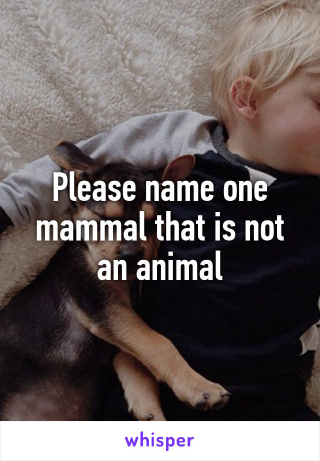 Please name one mammal that is not an animal