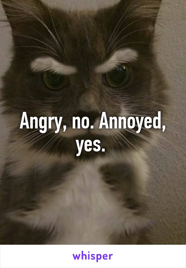 Angry, no. Annoyed, yes. 