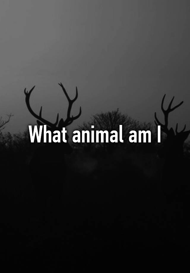 what-animal-am-i