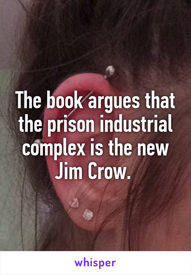 The book argues that the prison industrial complex is the new Jim Crow. 