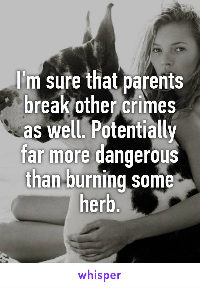 I'm sure that parents break other crimes as well. Potentially far more dangerous than burning some herb.