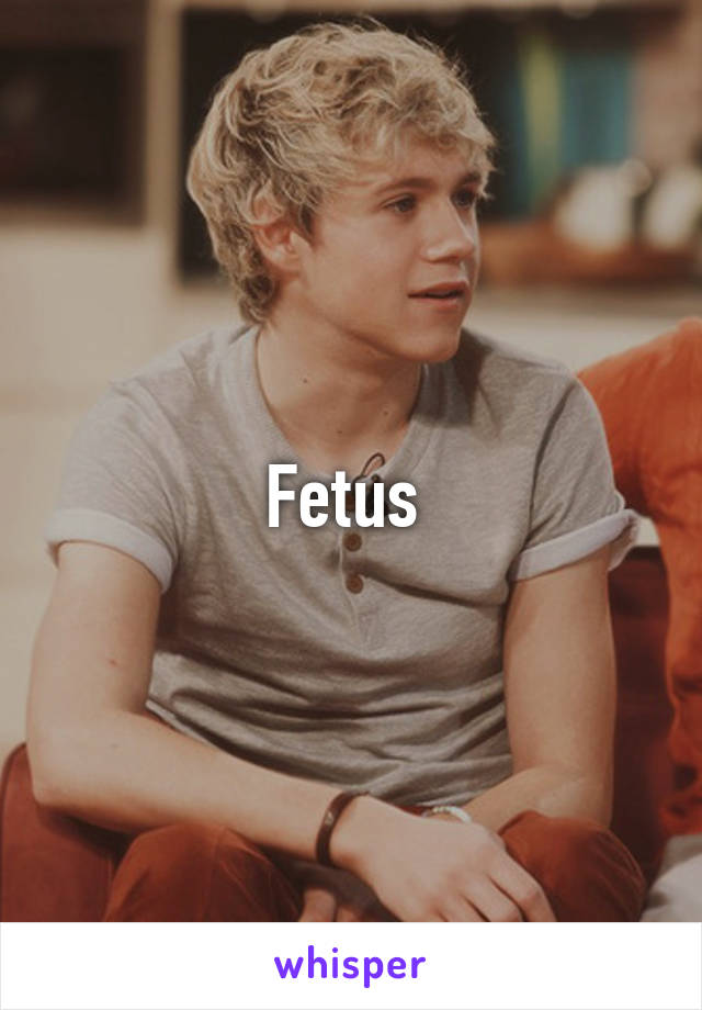 Fetus 