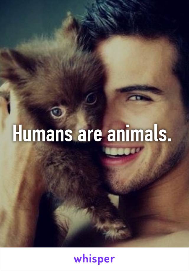 Humans are animals. 