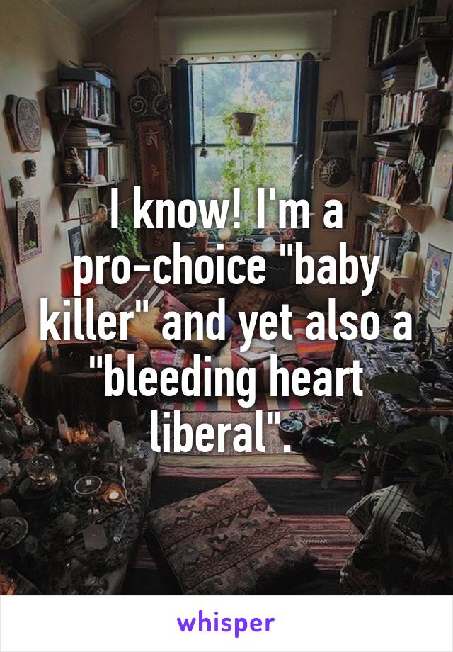 I know! I'm a pro-choice "baby killer" and yet also a "bleeding heart liberal". 