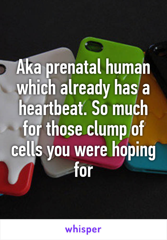 Aka prenatal human which already has a heartbeat. So much for those clump of cells you were hoping for