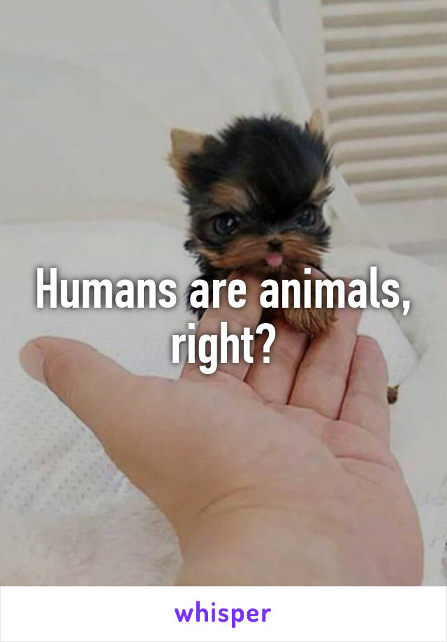 Humans are animals, right?