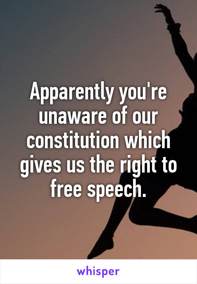 Apparently you're unaware of our constitution which gives us the right to free speech.