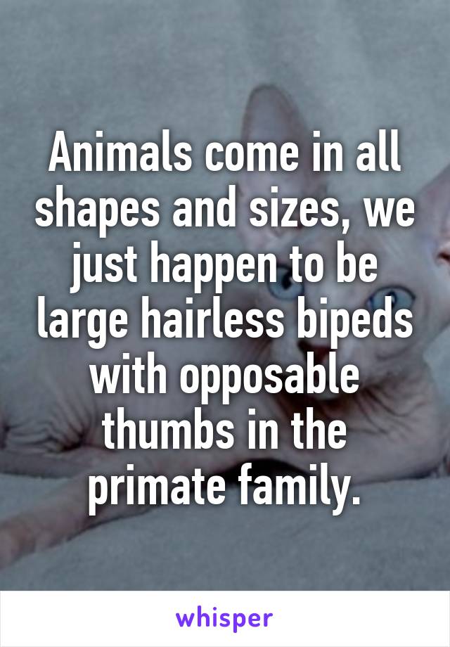 Animals come in all shapes and sizes, we just happen to be large hairless bipeds with opposable thumbs in the primate family.