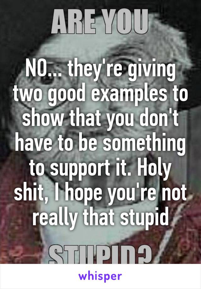 NO... they're giving two good examples to show that you don't have to be something to support it. Holy shit, I hope you're not really that stupid