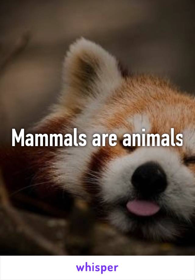 Mammals are animals