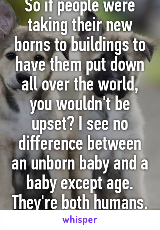 So if people were taking their new borns to buildings to have them put down all over the world, you wouldn't be upset? I see no difference between an unborn baby and a baby except age. They're both humans. They're both alive