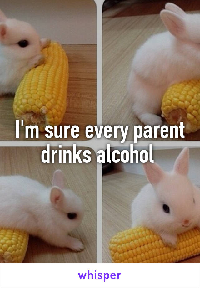 I'm sure every parent drinks alcohol 