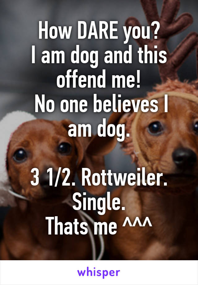 How DARE you?
I am dog and this offend me!
 No one believes I am dog.

3 1/2. Rottweiler. Single.
Thats me ^^^
