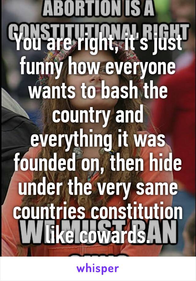 You are right, it's just funny how everyone wants to bash the country and everything it was founded on, then hide under the very same countries constitution like cowards.