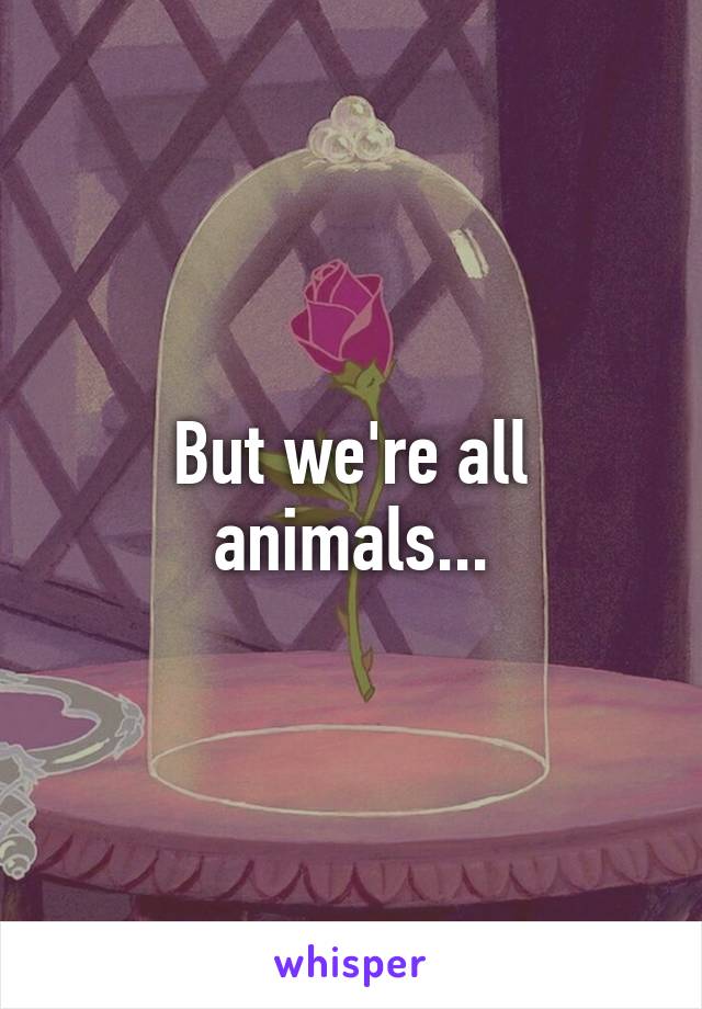 But we're all animals...