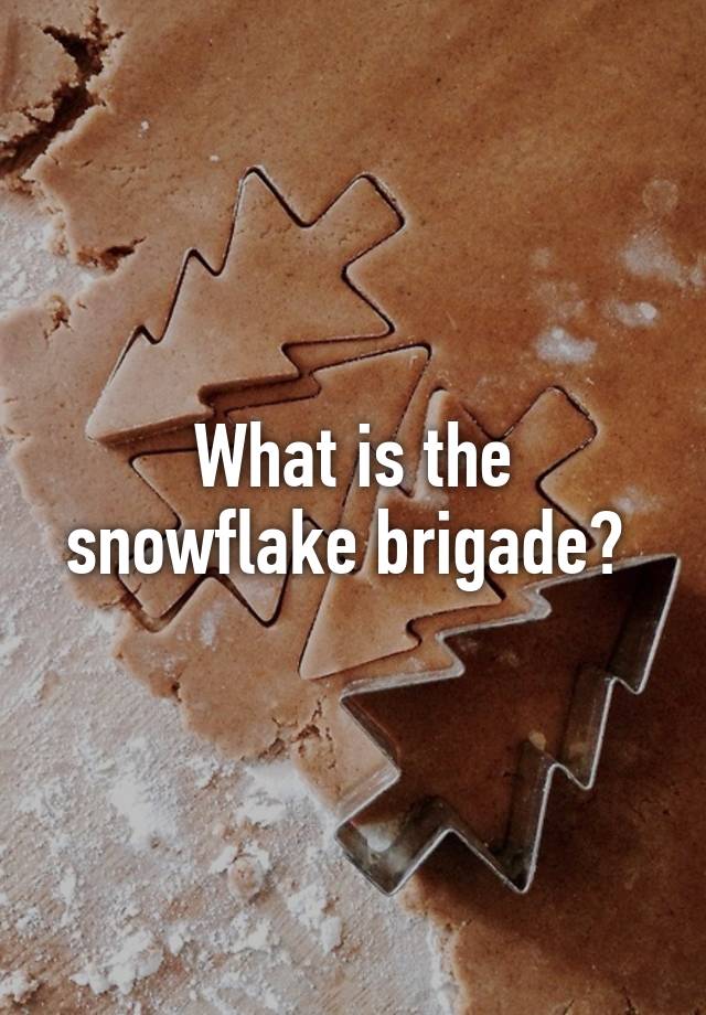 what-is-the-snowflake-brigade