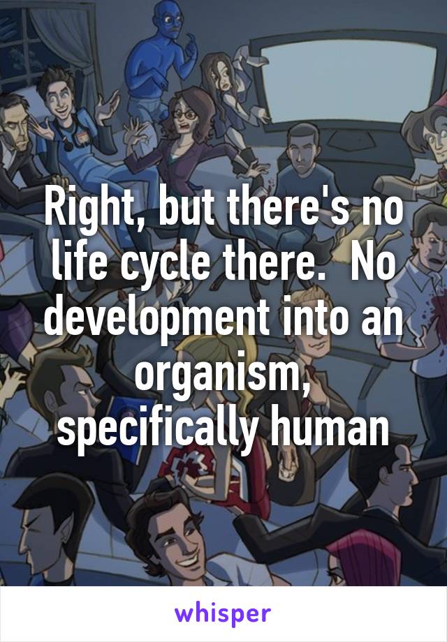 Right, but there's no life cycle there.  No development into an organism, specifically human