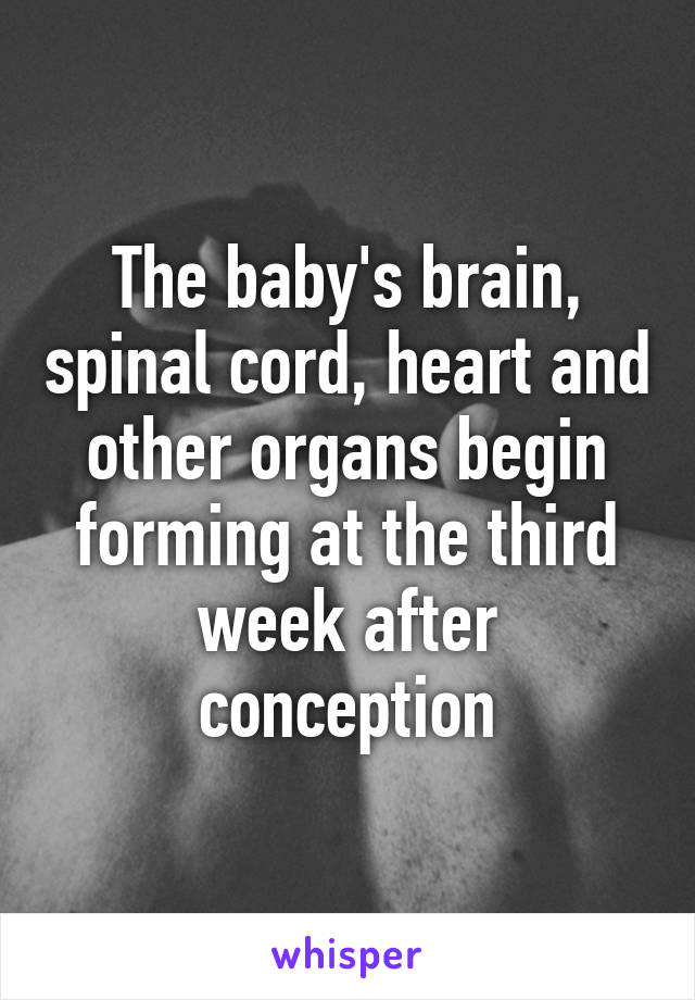 The baby's brain, spinal cord, heart and other organs begin forming at the third week after conception