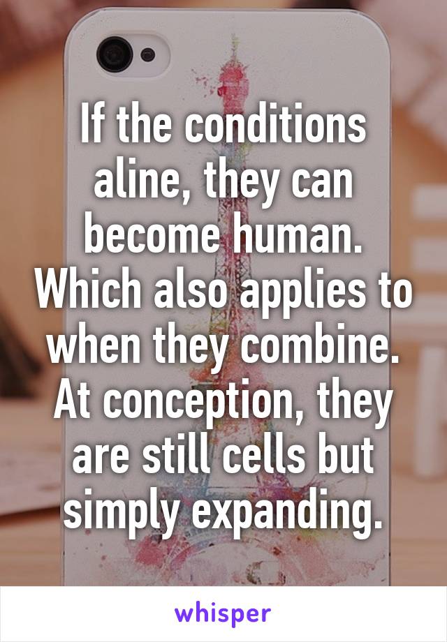 If the conditions aline, they can become human. Which also applies to when they combine. At conception, they are still cells but simply expanding.