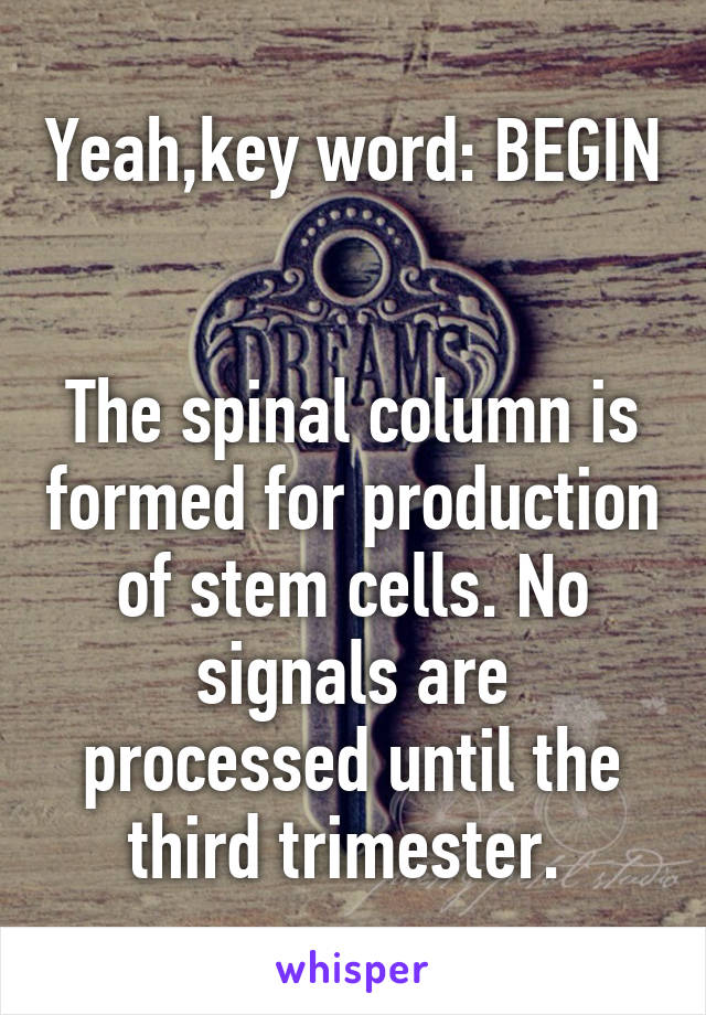 Yeah,key word: BEGIN 

The spinal column is formed for production of stem cells. No signals are processed until the third trimester. 