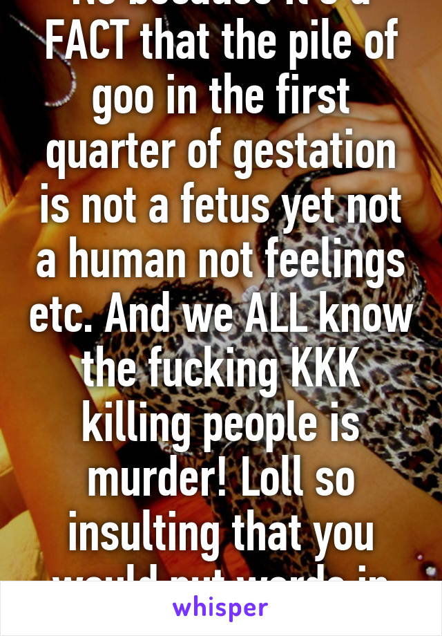 No because it's a FACT that the pile of goo in the first quarter of gestation is not a fetus yet not a human not feelings etc. And we ALL know the fucking KKK killing people is murder! Loll so insulting that you would put words in my mouth like that