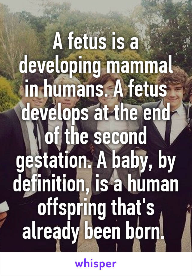 A fetus is a developing mammal in humans. A fetus develops at the end of the second gestation. A baby, by definition, is a human offspring that's already been born. 