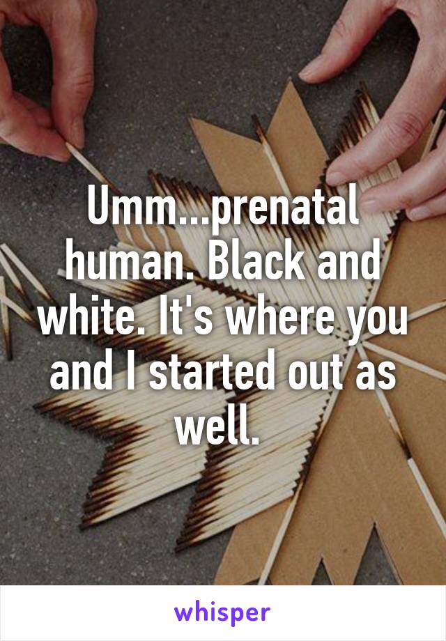 Umm...prenatal human. Black and white. It's where you and I started out as well. 