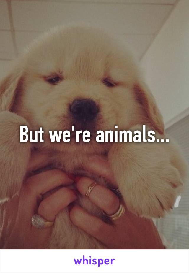 But we're animals...