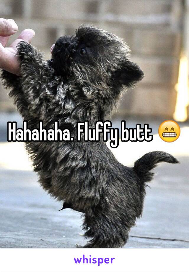 Hahahaha. Fluffy butt 😁