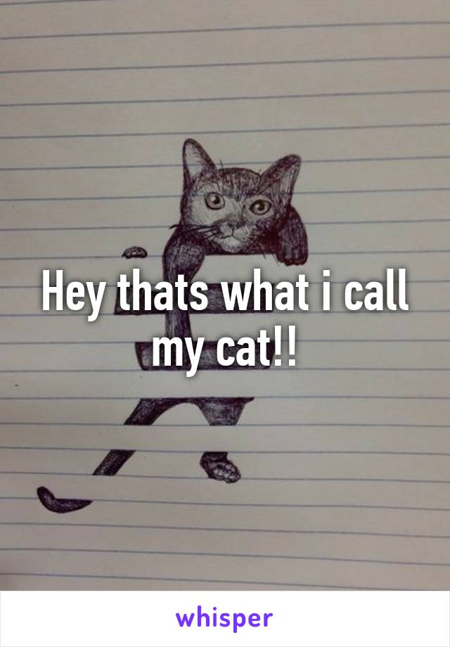 Hey thats what i call my cat!!