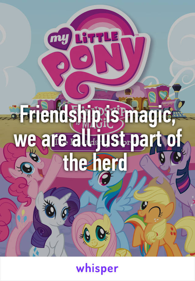 Friendship is magic, we are all just part of the herd 