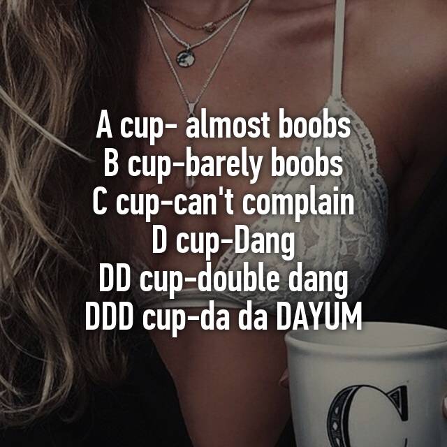 A cup- almost boobs B cup-barely boobs C cup-can't complain D cup-Dang