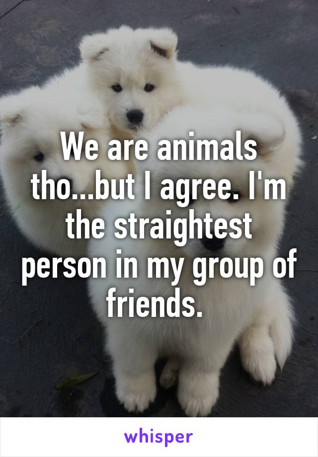 We are animals tho...but I agree. I'm the straightest person in my group of friends. 