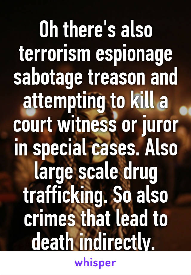 Oh there's also terrorism espionage sabotage treason and attempting to kill a court witness or juror in special cases. Also large scale drug trafficking. So also crimes that lead to death indirectly. 