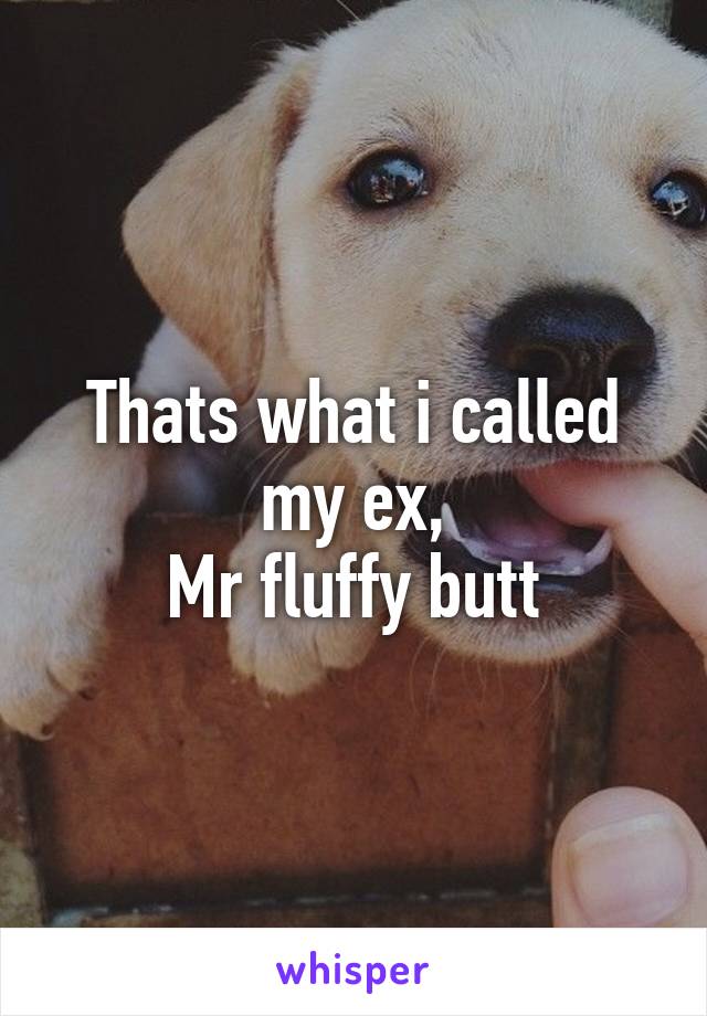 Thats what i called my ex,
Mr fluffy butt