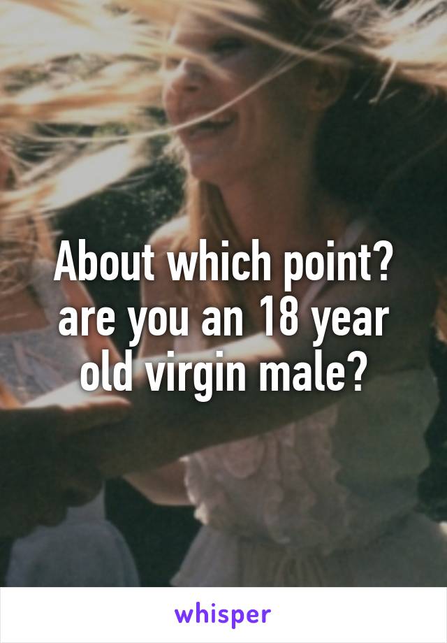 About which point? are you an 18 year old virgin male?