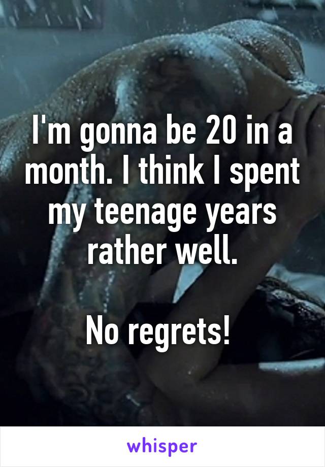 I'm gonna be 20 in a month. I think I spent my teenage years rather well.

No regrets! 