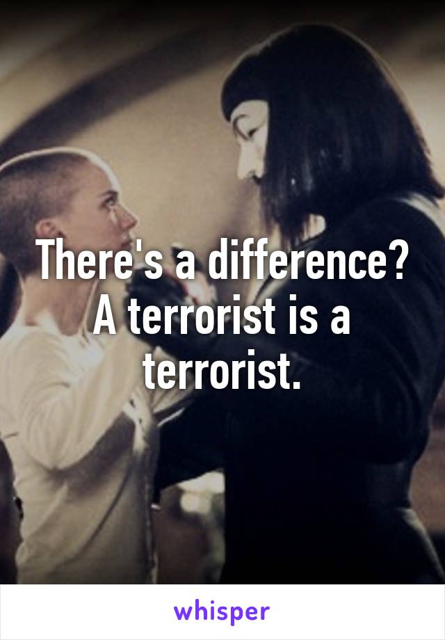 There's a difference? A terrorist is a terrorist.