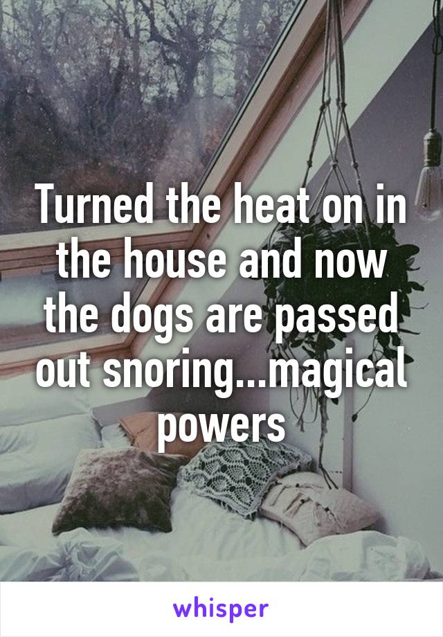 Turned the heat on in the house and now the dogs are passed out snoring...magical powers