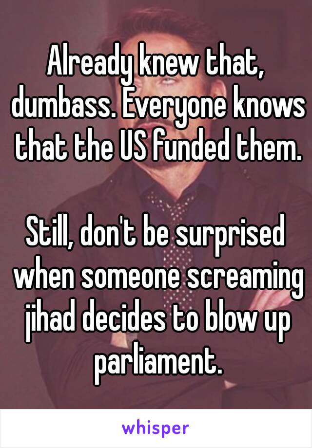 Already knew that, dumbass. Everyone knows that the US funded them.

Still, don't be surprised when someone screaming jihad decides to blow up parliament.