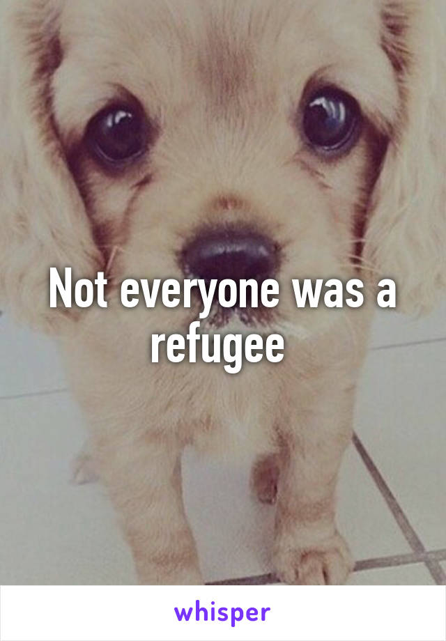 Not everyone was a refugee 