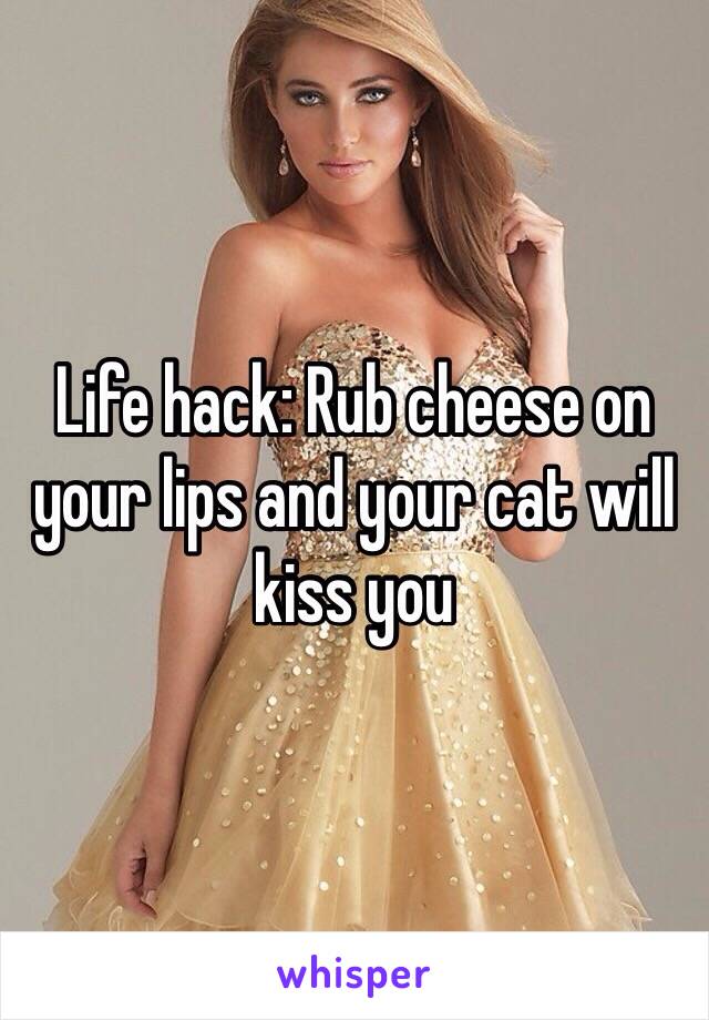 Life hack: Rub cheese on your lips and your cat will kiss you