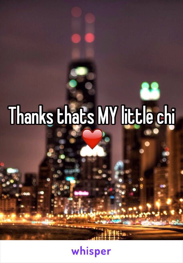 Thanks thats MY little chi ❤️